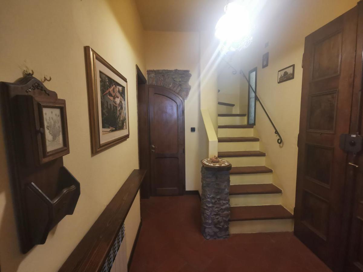 Il Nespolo